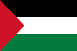 Palestine flag